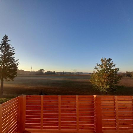 Badischer Neubau-Ruhe-Kunst-Natur Rheinau Esterno foto