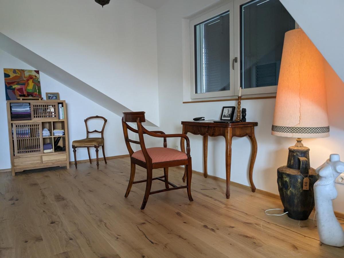 Badischer Neubau-Ruhe-Kunst-Natur Rheinau Esterno foto