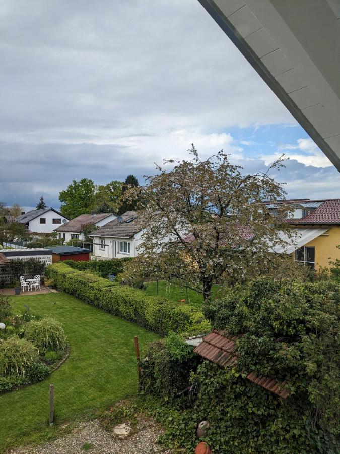 Badischer Neubau-Ruhe-Kunst-Natur Rheinau Esterno foto