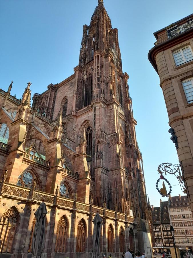 Badischer Neubau-Ruhe-Kunst-Natur Rheinau Esterno foto
