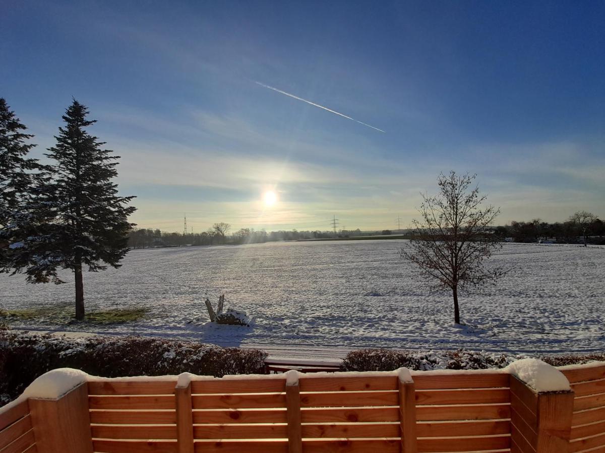 Badischer Neubau-Ruhe-Kunst-Natur Rheinau Esterno foto
