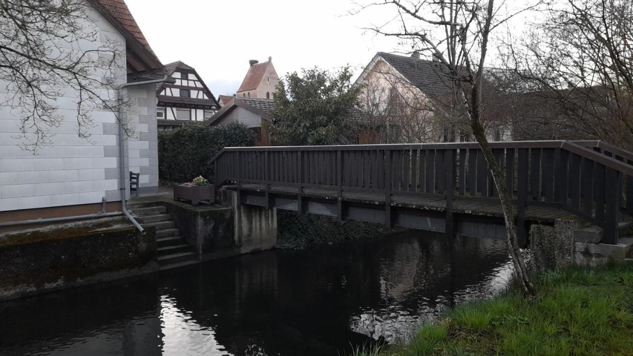 Badischer Neubau-Ruhe-Kunst-Natur Rheinau Esterno foto
