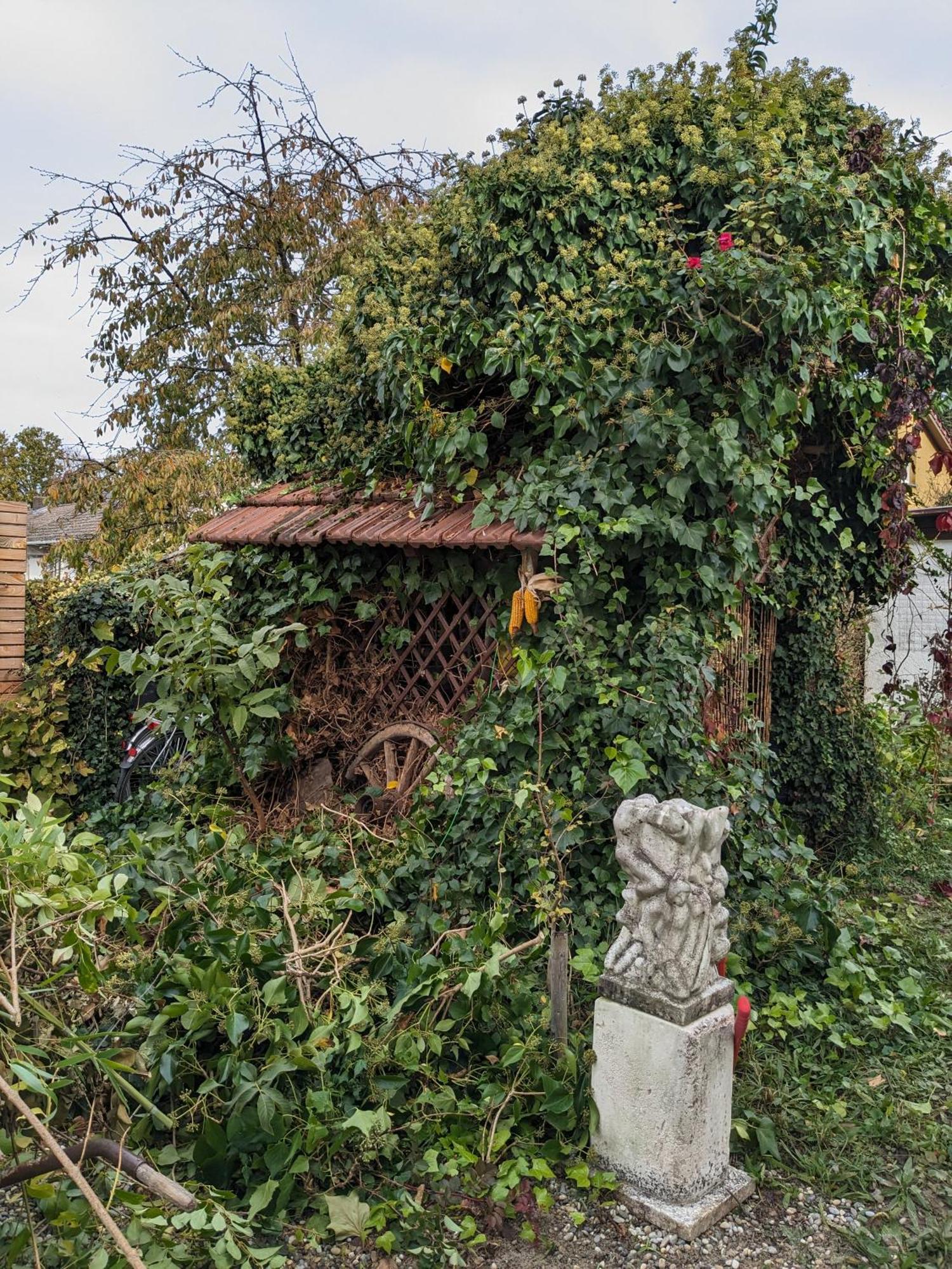 Badischer Neubau-Ruhe-Kunst-Natur Rheinau Esterno foto