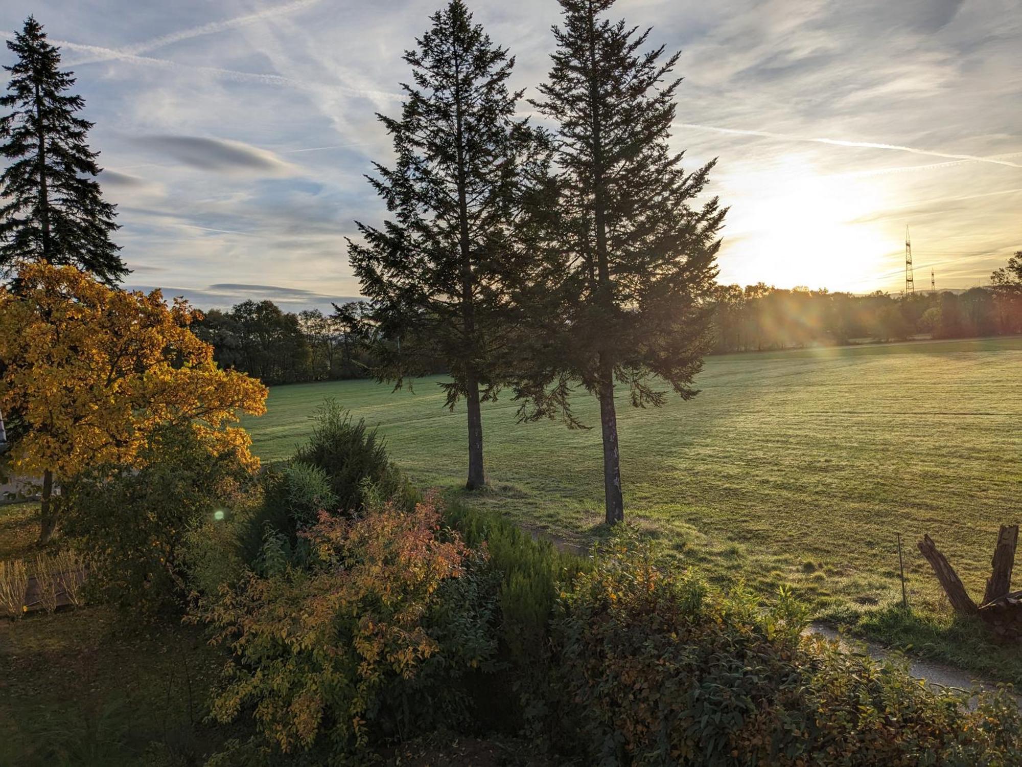 Badischer Neubau-Ruhe-Kunst-Natur Rheinau Esterno foto