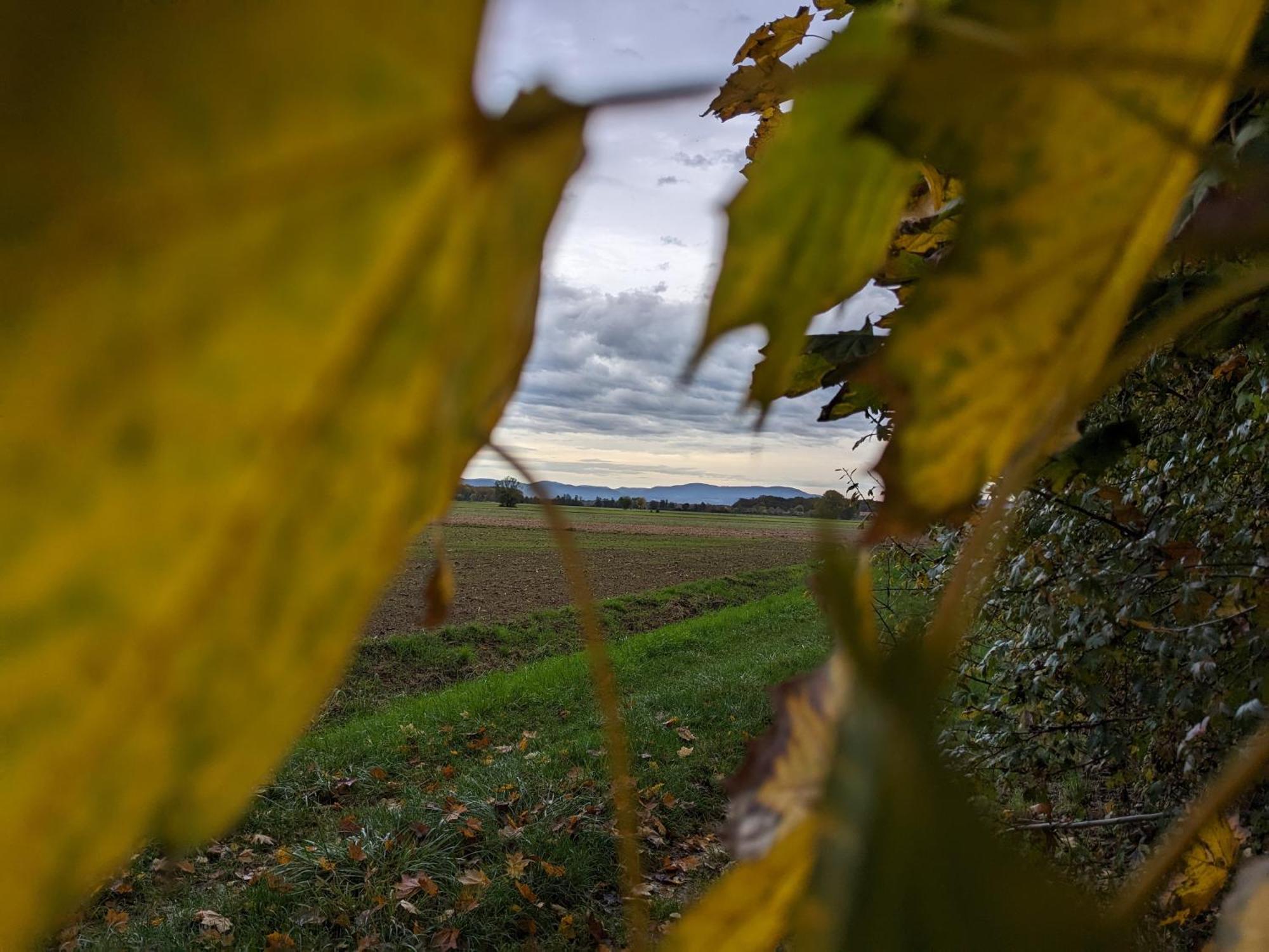 Badischer Neubau-Ruhe-Kunst-Natur Rheinau Esterno foto