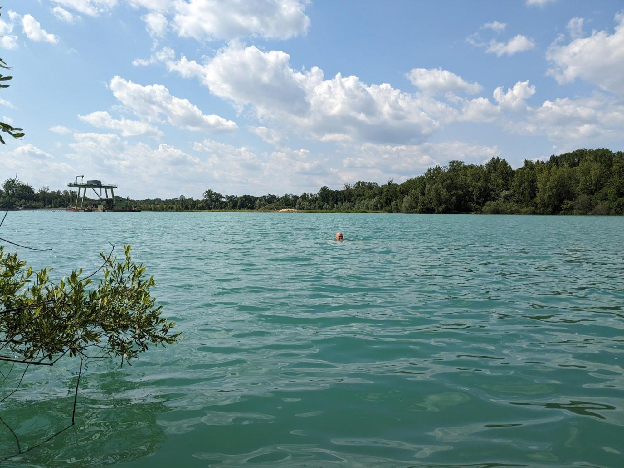 Badischer Neubau-Ruhe-Kunst-Natur Rheinau Esterno foto