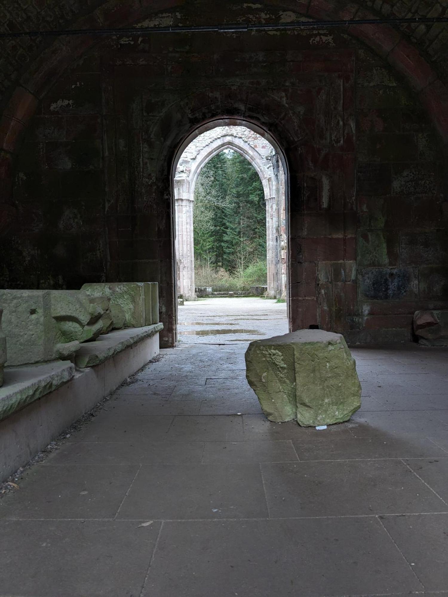Badischer Neubau-Ruhe-Kunst-Natur Rheinau Esterno foto