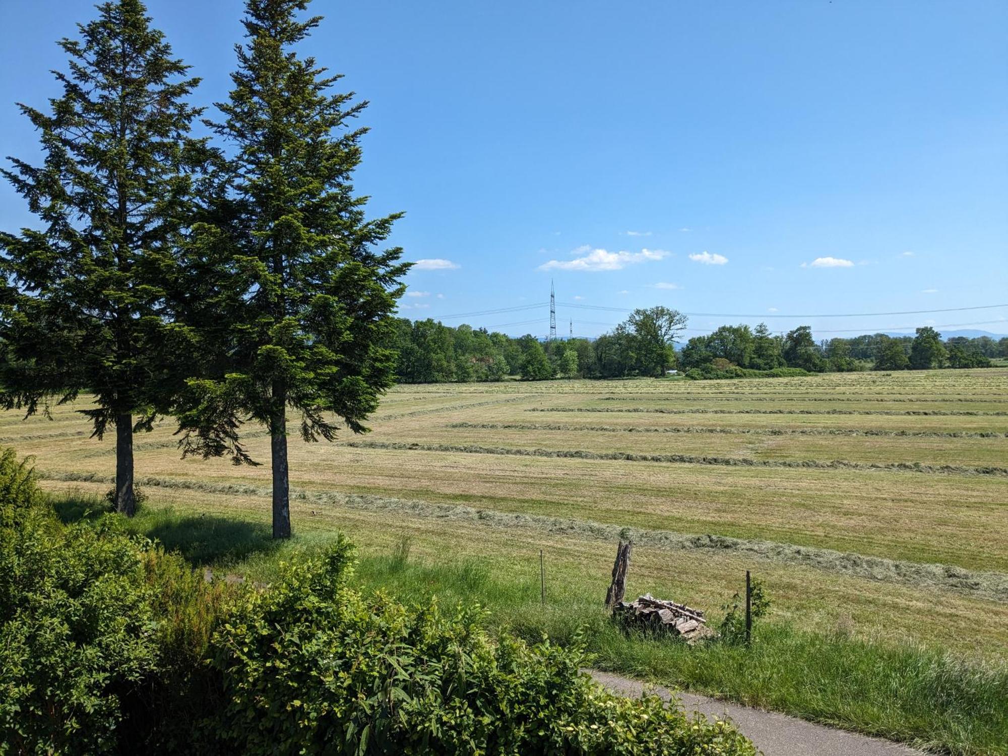 Badischer Neubau-Ruhe-Kunst-Natur Rheinau Esterno foto