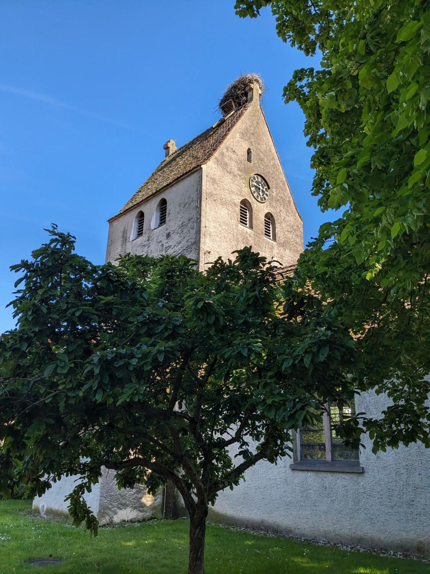 Badischer Neubau-Ruhe-Kunst-Natur Rheinau Esterno foto
