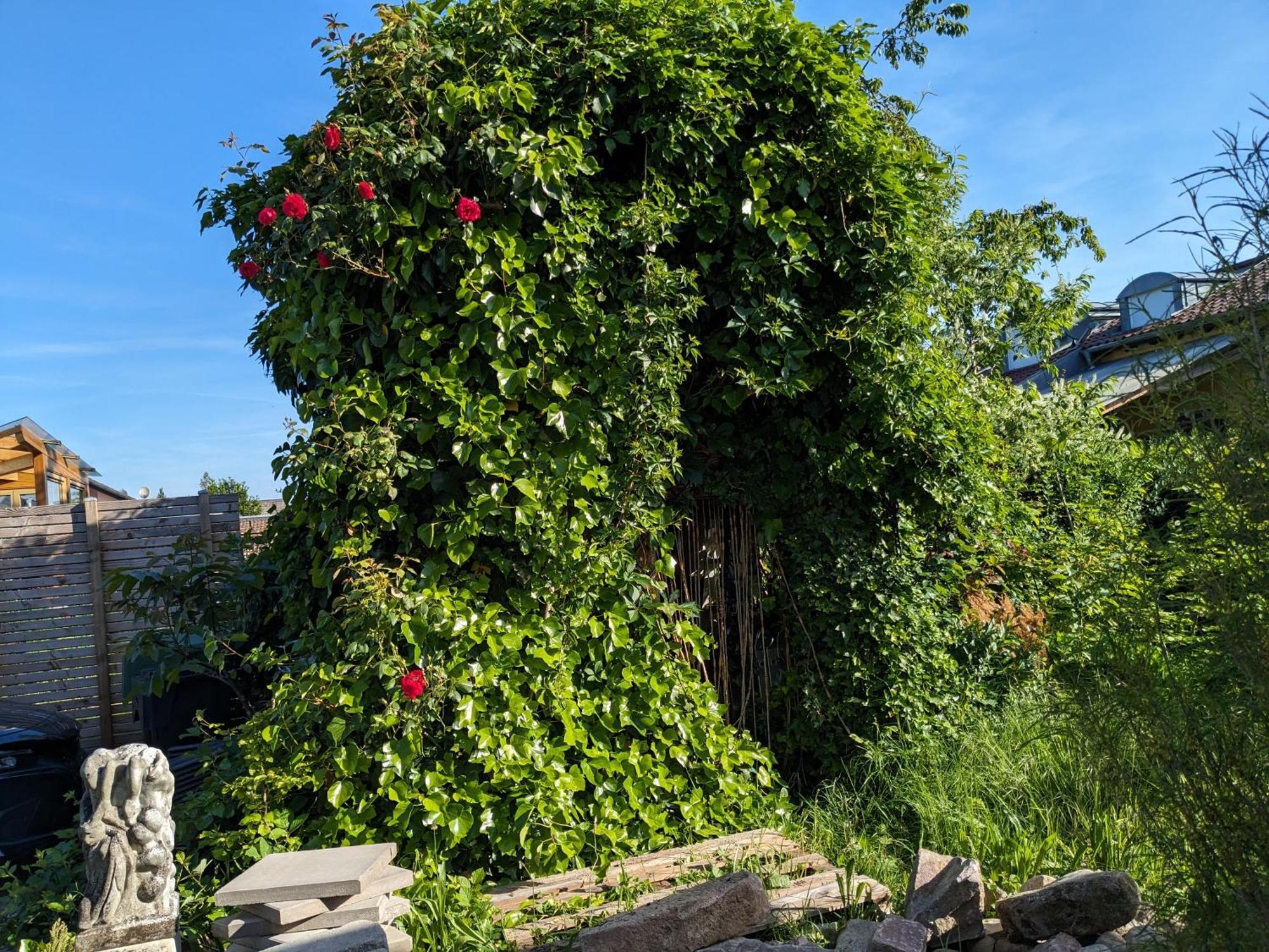 Badischer Neubau-Ruhe-Kunst-Natur Rheinau Esterno foto