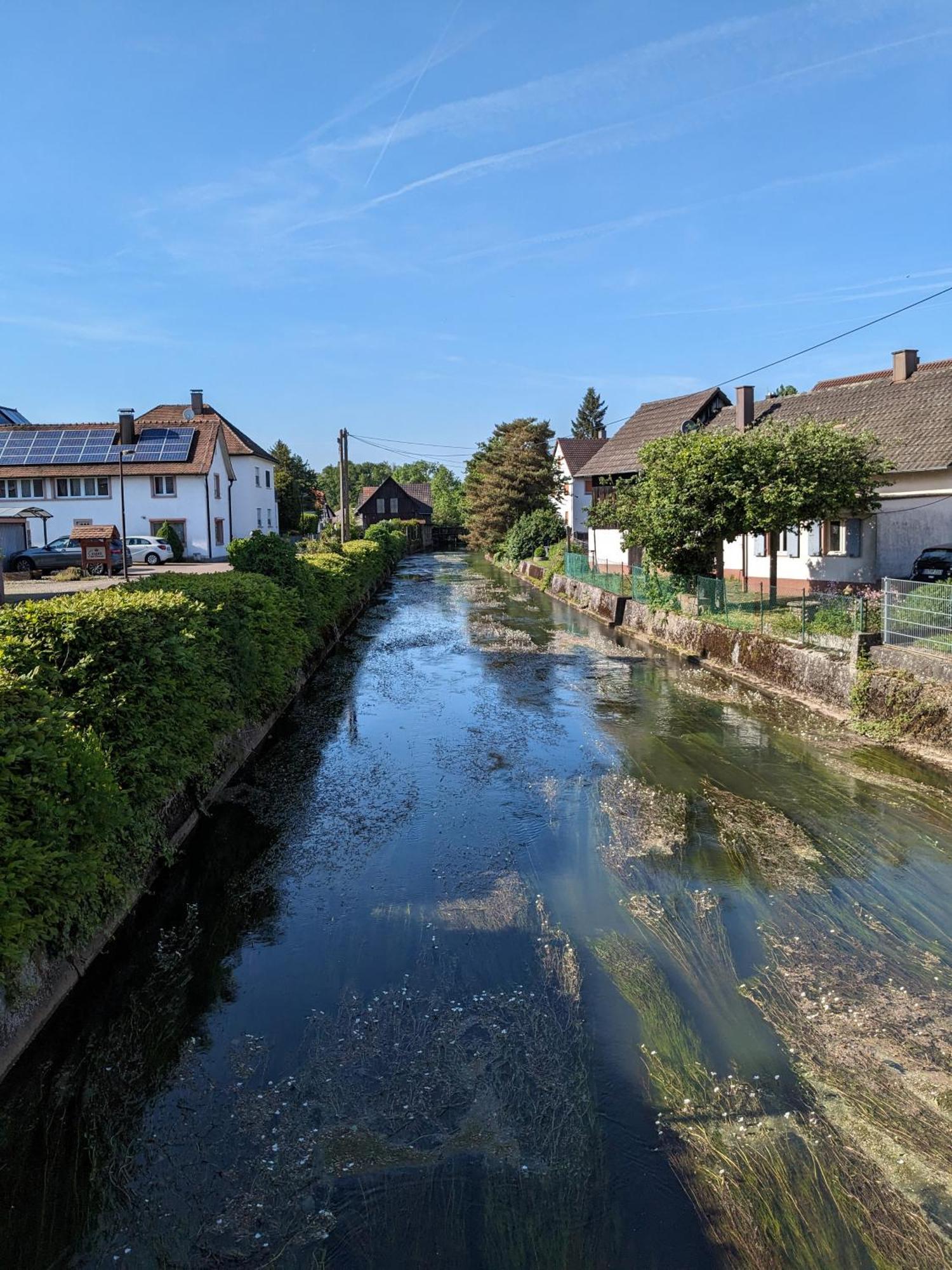 Badischer Neubau-Ruhe-Kunst-Natur Rheinau Esterno foto