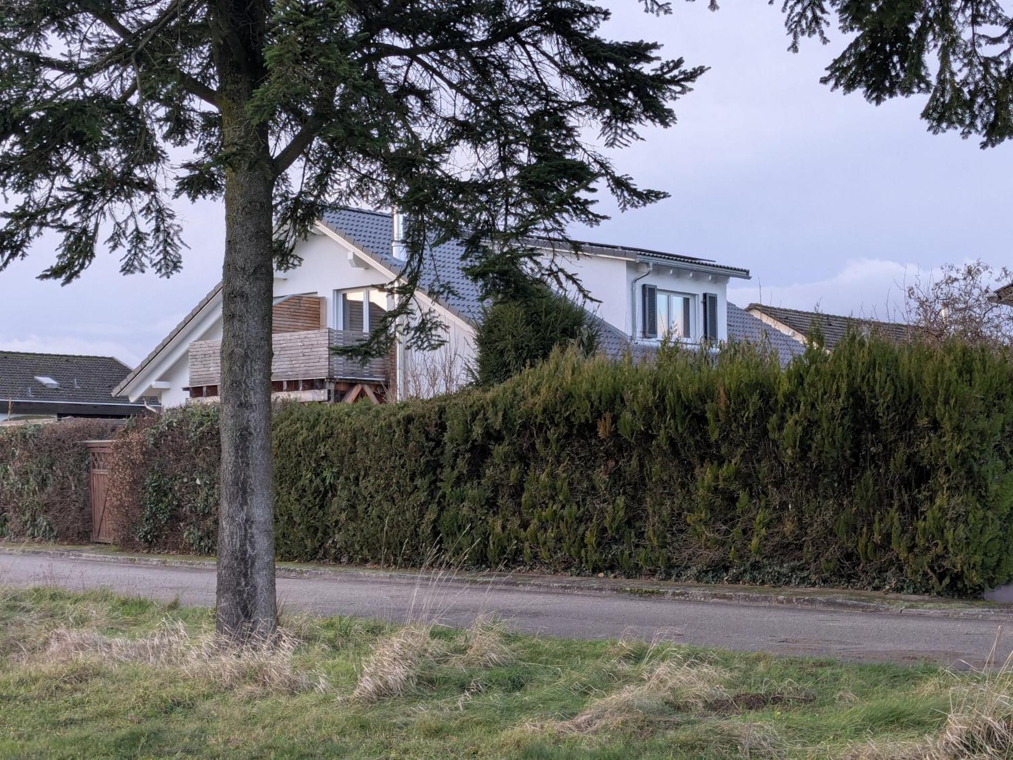 Badischer Neubau-Ruhe-Kunst-Natur Rheinau Esterno foto